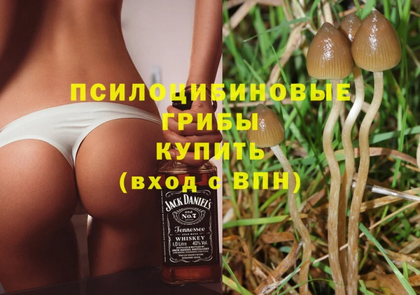 соль ск Богданович