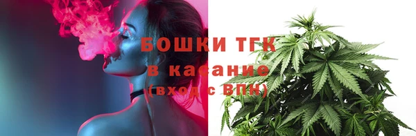 соль ск Богданович