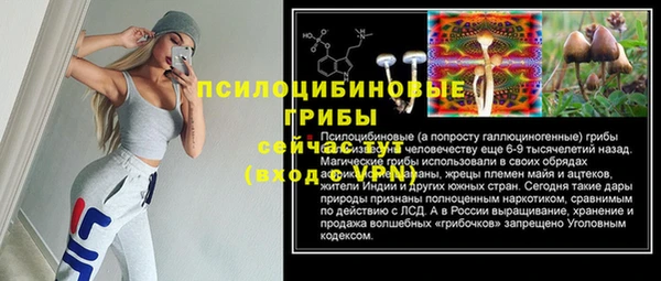 стаф Баксан
