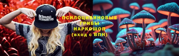 MDMA Богородицк