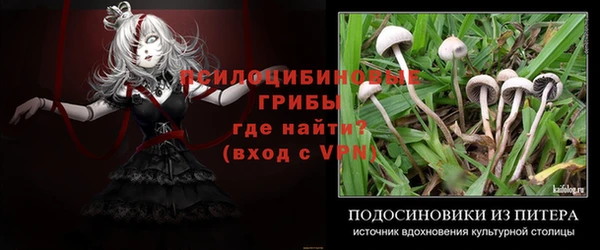 соль ск Богданович