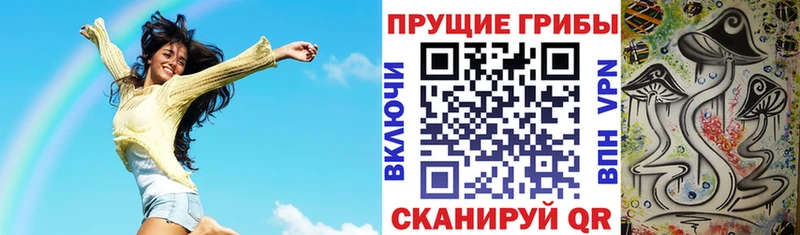 хочу   Каргат  Псилоцибиновые грибы Psilocybine cubensis 